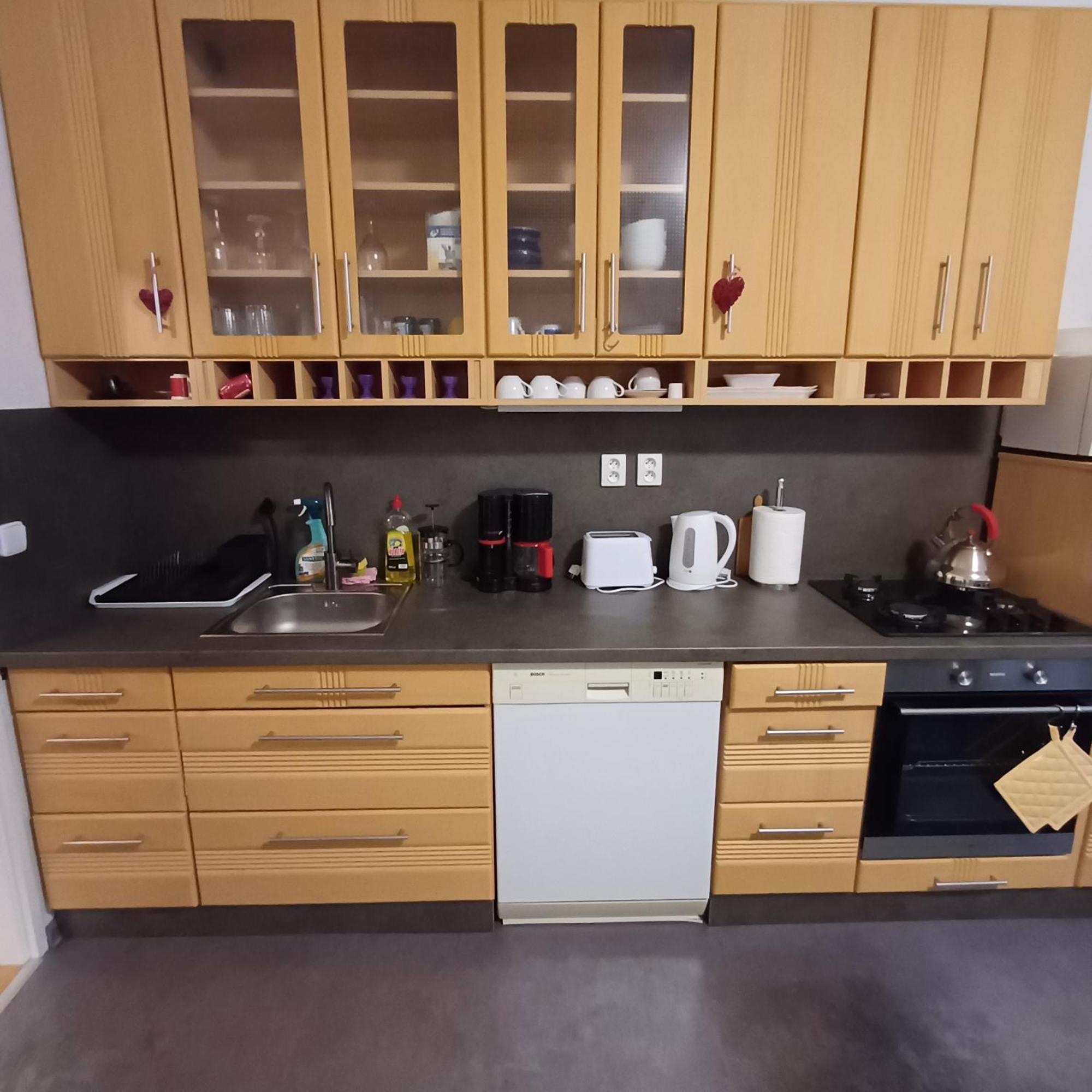 Apartment Ap 5 Alice Near Springs - 4 Karlovy Vary
