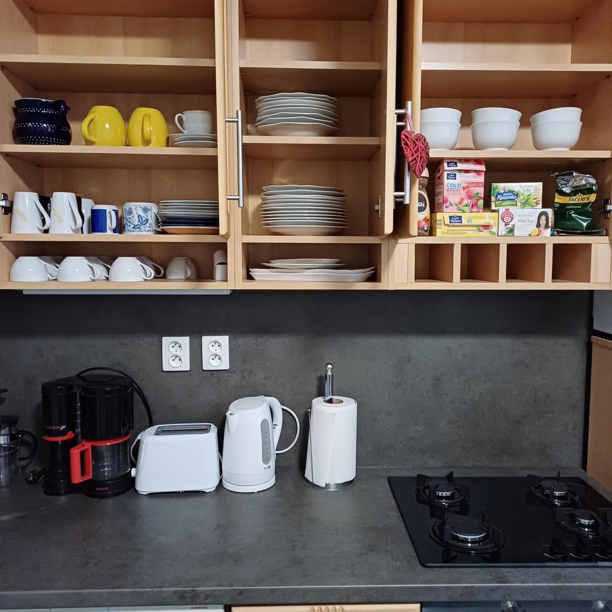 Ap 5 Alice Near Springs - 4 Appartement Karlsbad